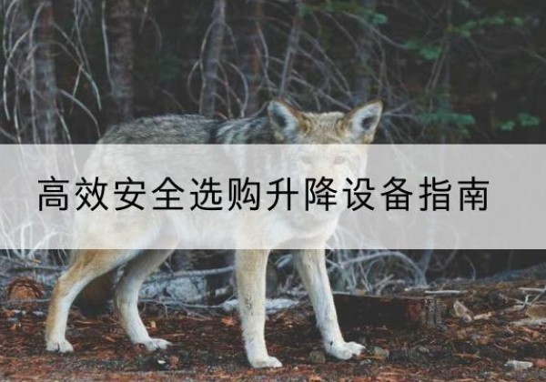 台州升降货梯厂家推荐-*安全选购升降设备指南
