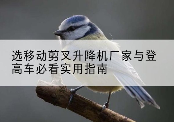 台州电动升降机厂家-选移动剪叉升降机厂家与登高车必看实用指南